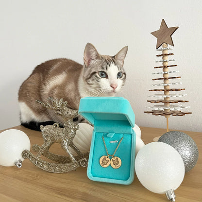 Furvr Pet Face Necklace